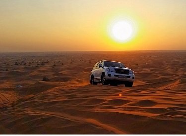 Desert Safari