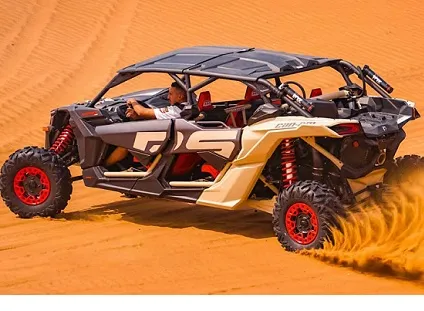Can-am Buggy Maverick